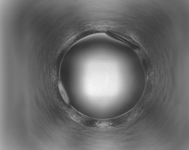 X0000052550407200507152205