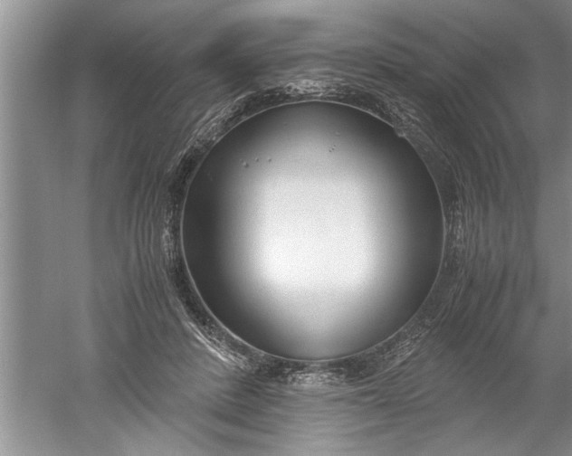 X0000052550408200507152205