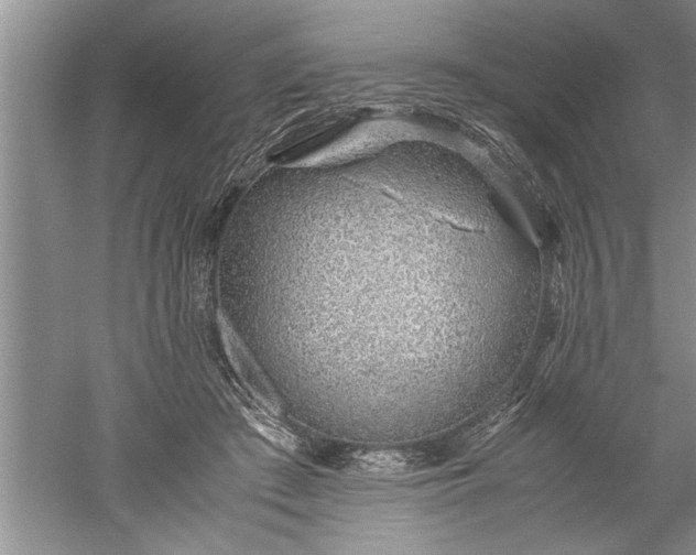 X0000052550409200507152205