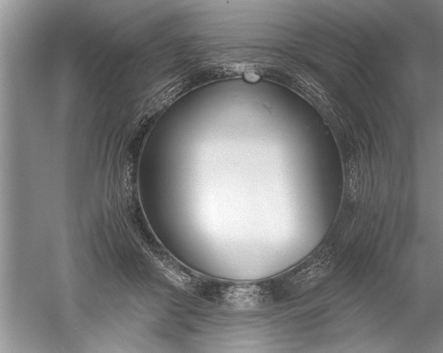 X0000052550410200507152205