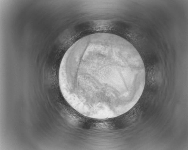 X0000052550411200507152205