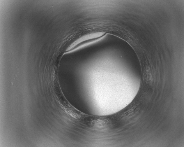 X0000052550412200507152205