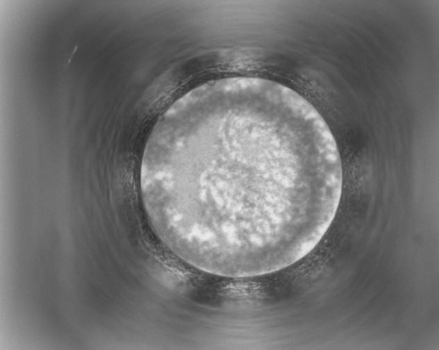 X0000052550415200507152205