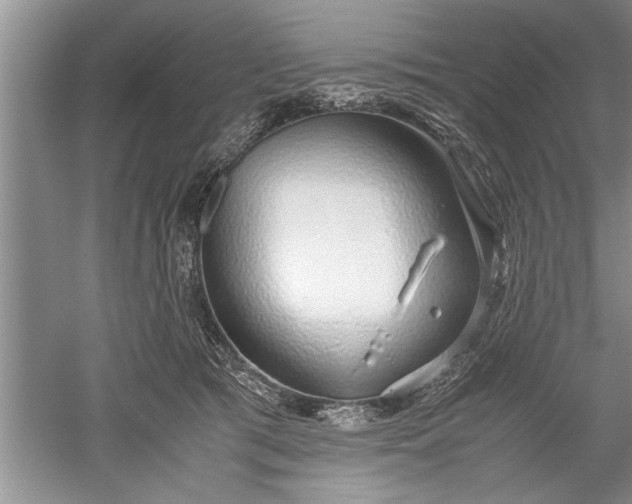 X0000052550417200507152205