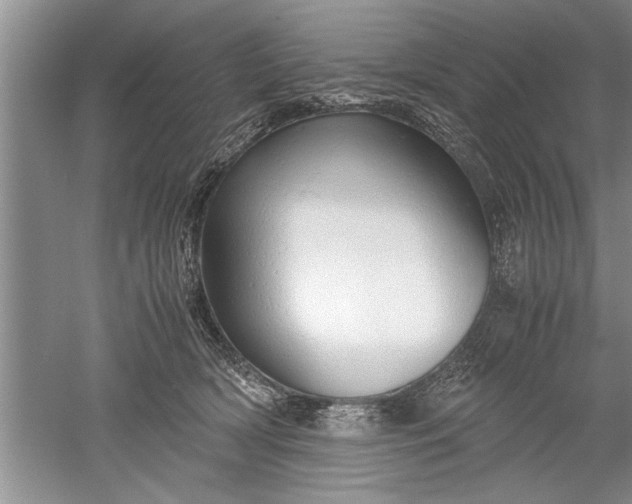 X0000052550418200507152205