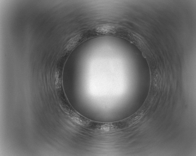 X0000052550420200507152205