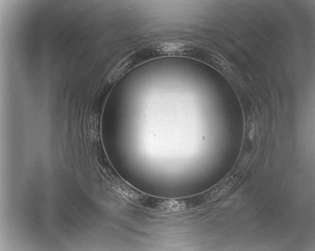 X0000052550421200507152205