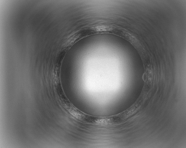 X0000052550422200507152205