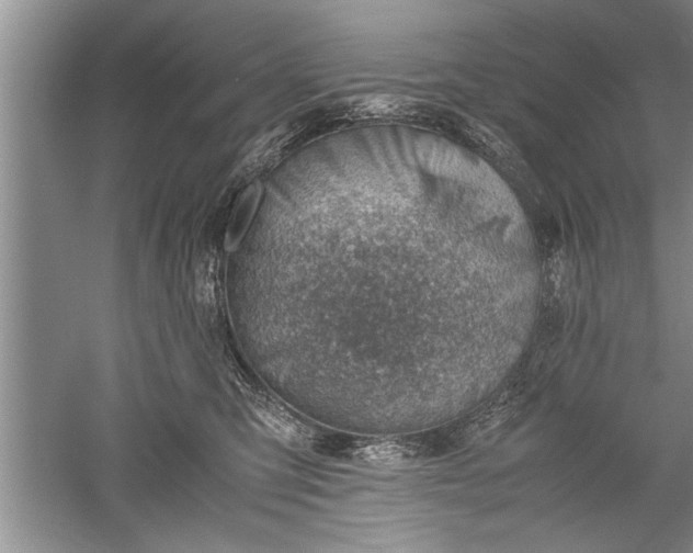 X0000052550423200507152205