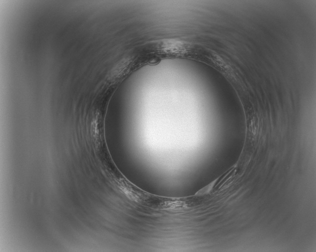 X0000052550424200507152205