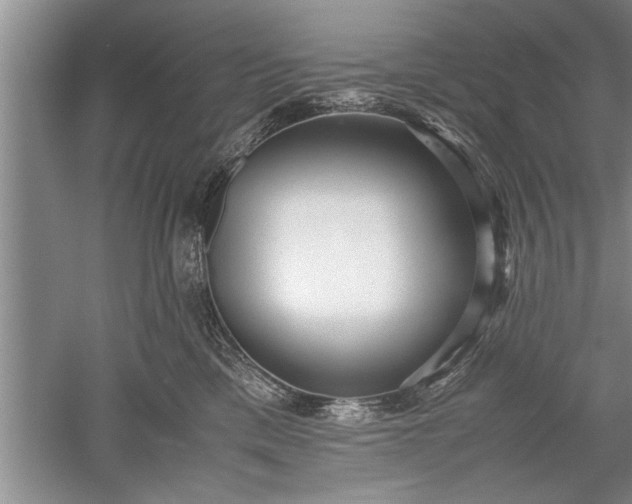 X0000052550425200507152204