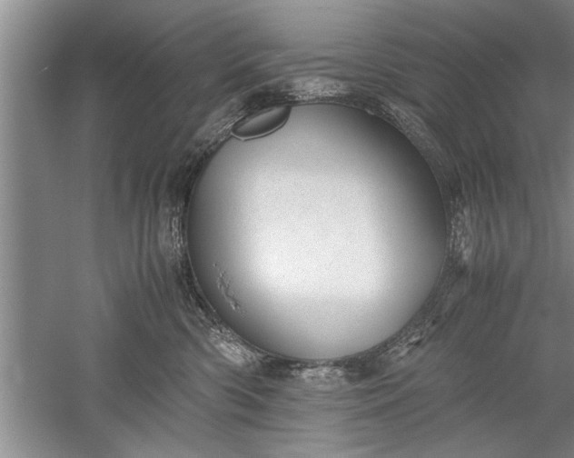 X0000052550426200507152204