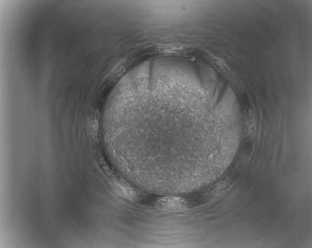 X0000052550427200507152204