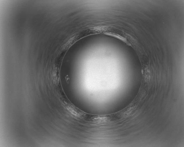 X0000052550428200507152204