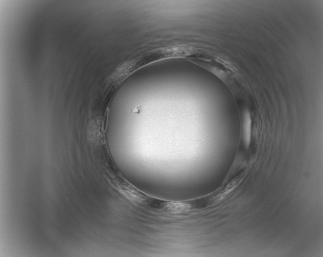 X0000052550429200507152204