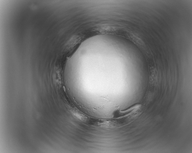 X0000052550430200507152204