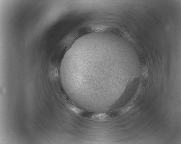 X0000052550431200507152204