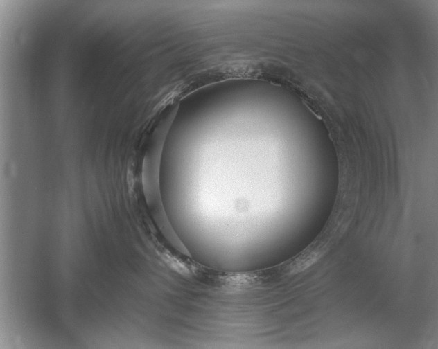 X0000052550432200507152204