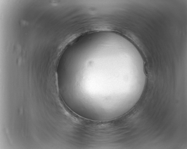 X0000052550433200507152204