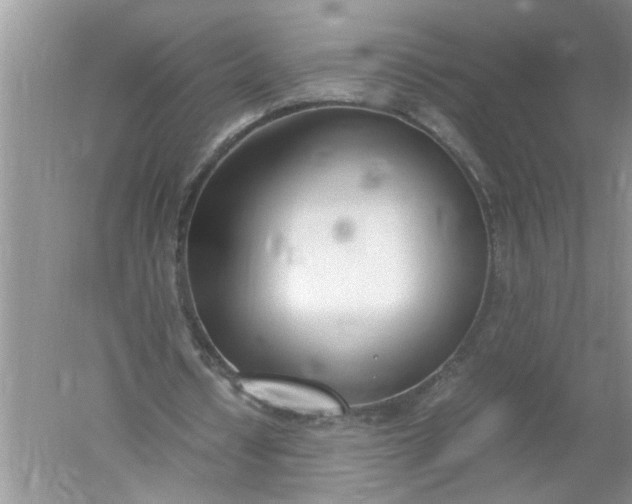 X0000052550434200507152204