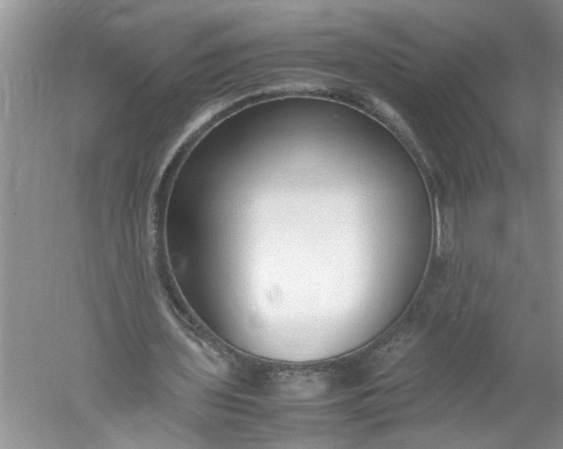 X0000052550435200507152204