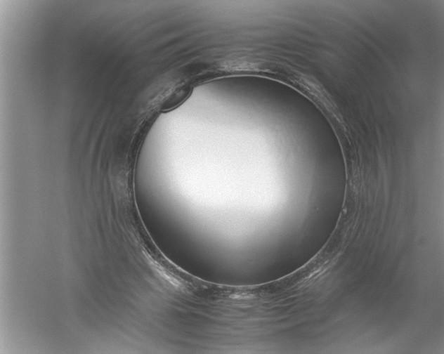 X0000052550441200507152204