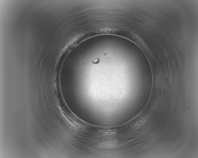 X0000052550443200507152204