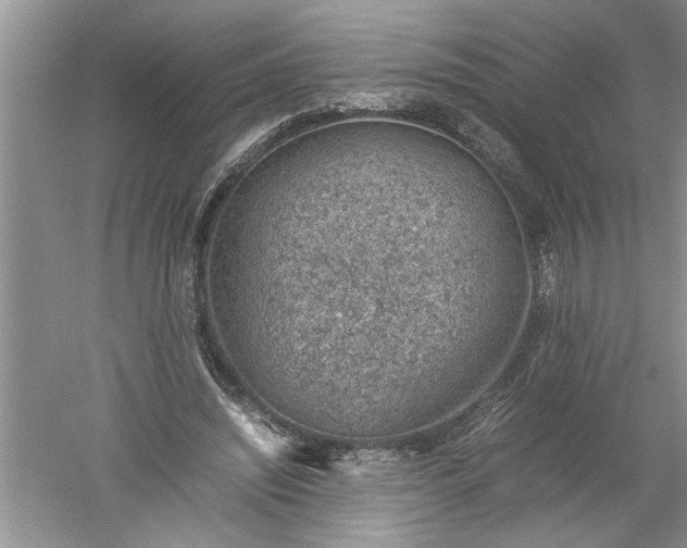 X0000052550444200507152204