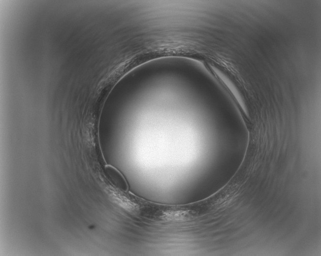 X0000052550450200507152204