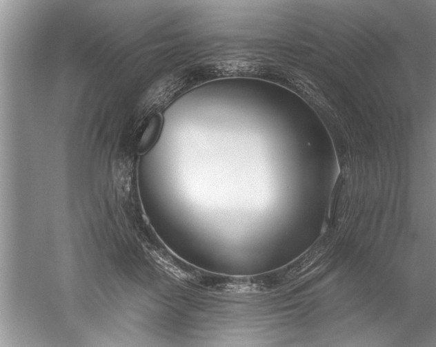 X0000052550458200507152204