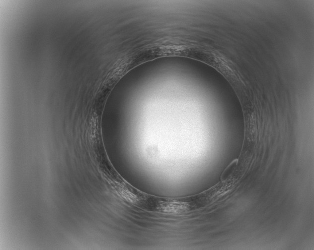 X0000052550463200507152204