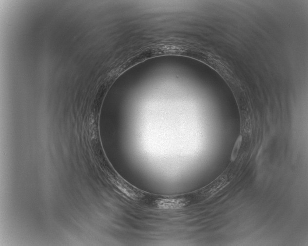 X0000052550465200507152204