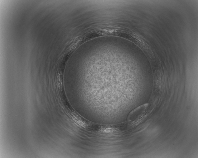 X0000052550467200507152204