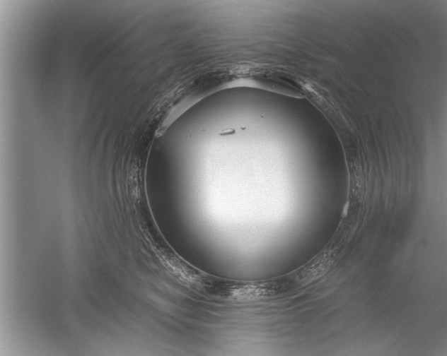 X0000052550470200507152204