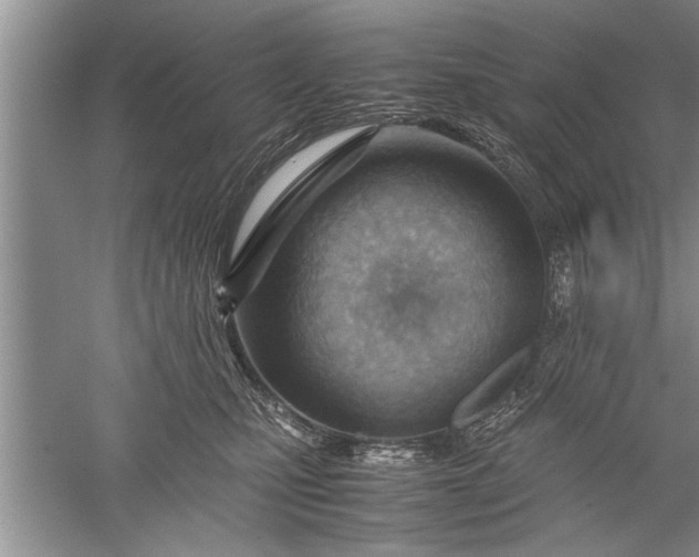 X0000052550471200507152204