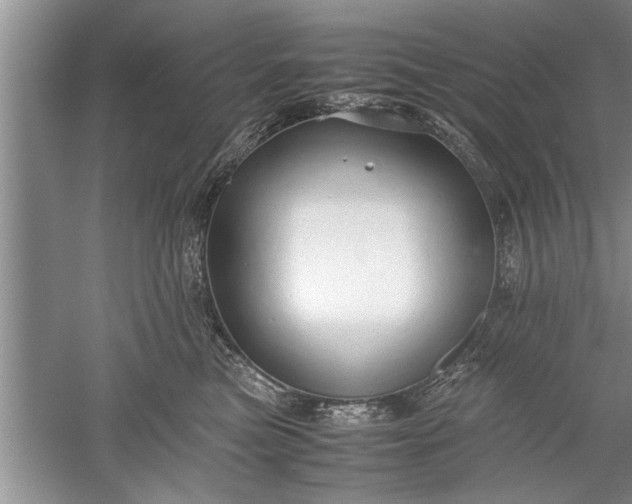 X0000052550473200507152204