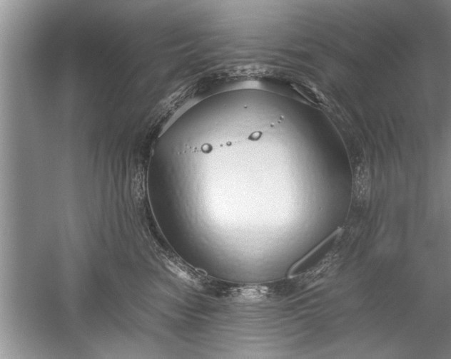 X0000052550474200507152204