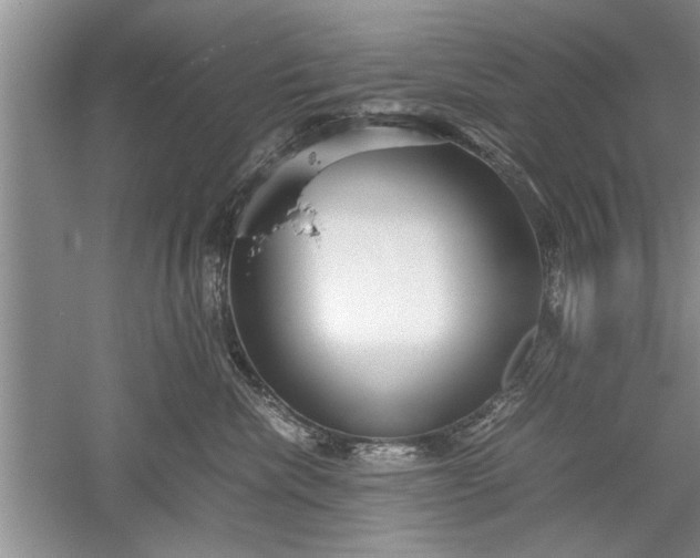 X0000052550476200507152204