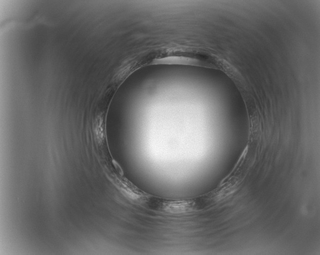 X0000052550479200507152204