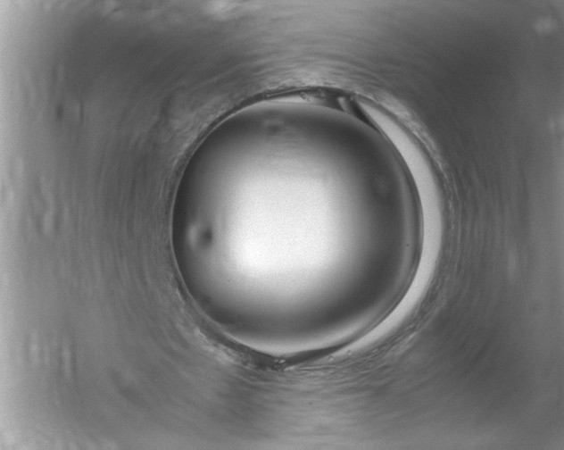 X0000052550481200507152204