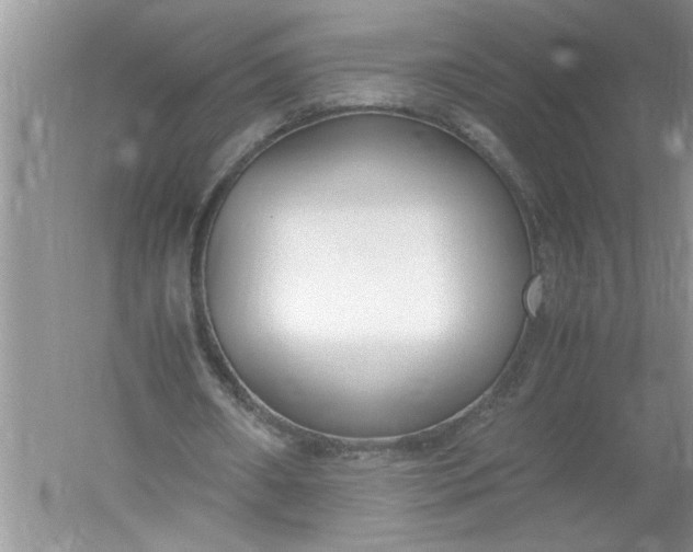 X0000052550482200507152204