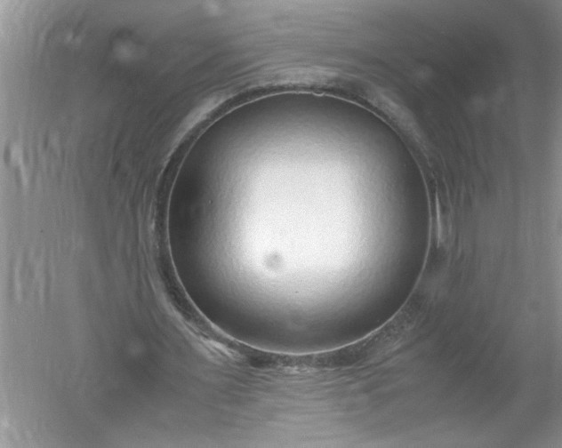 X0000052550483200507152203