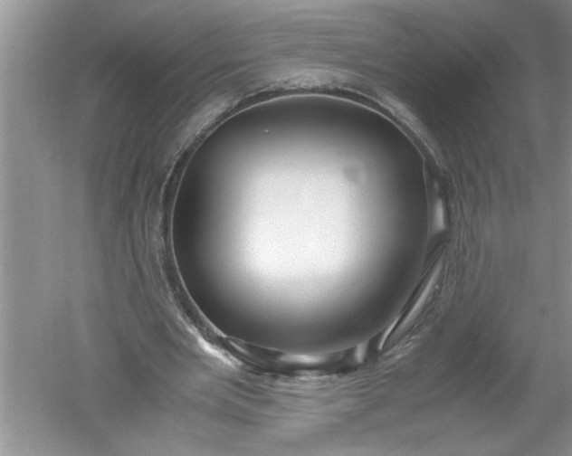 X0000052550485200507152203