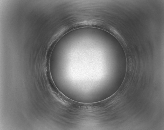 X0000052550486200507152203