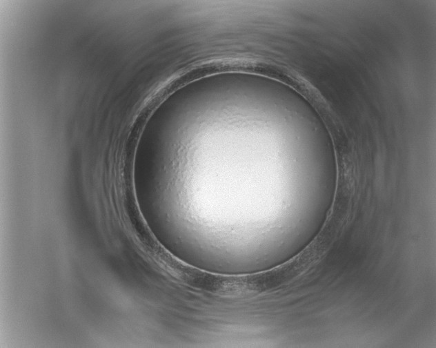 X0000052550487200507152203