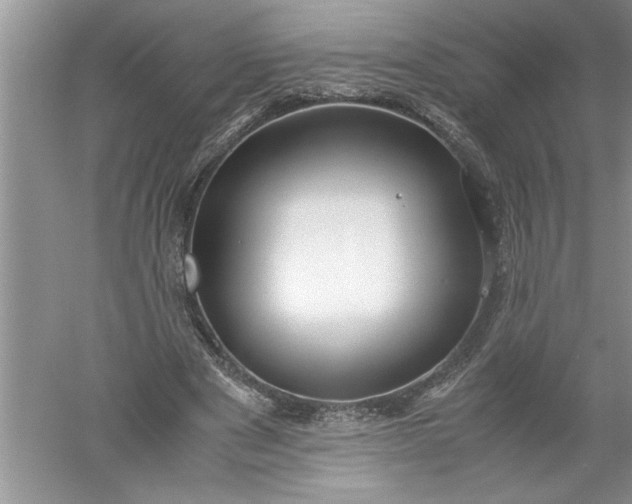 X0000052550489200507152203