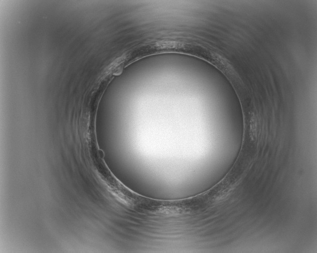 X0000052550490200507152203