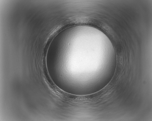 X0000052550491200507152203