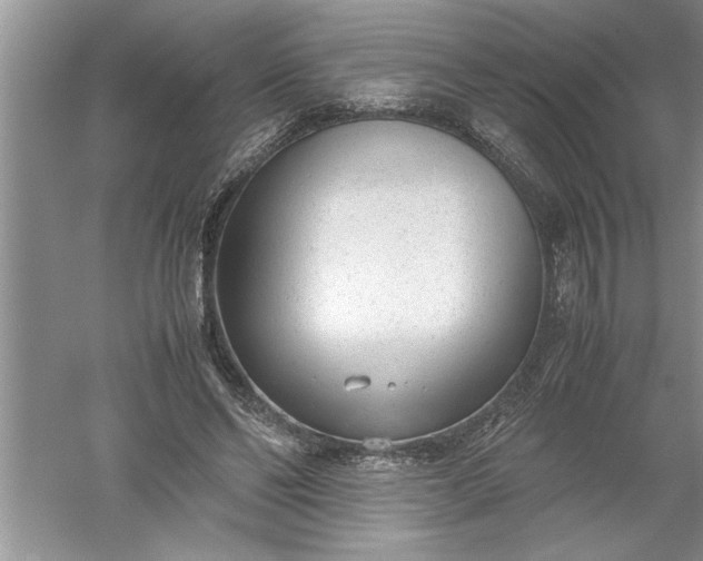 X0000052550494200507152203