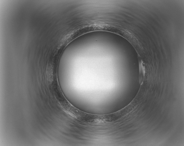 X0000052550496200507152203